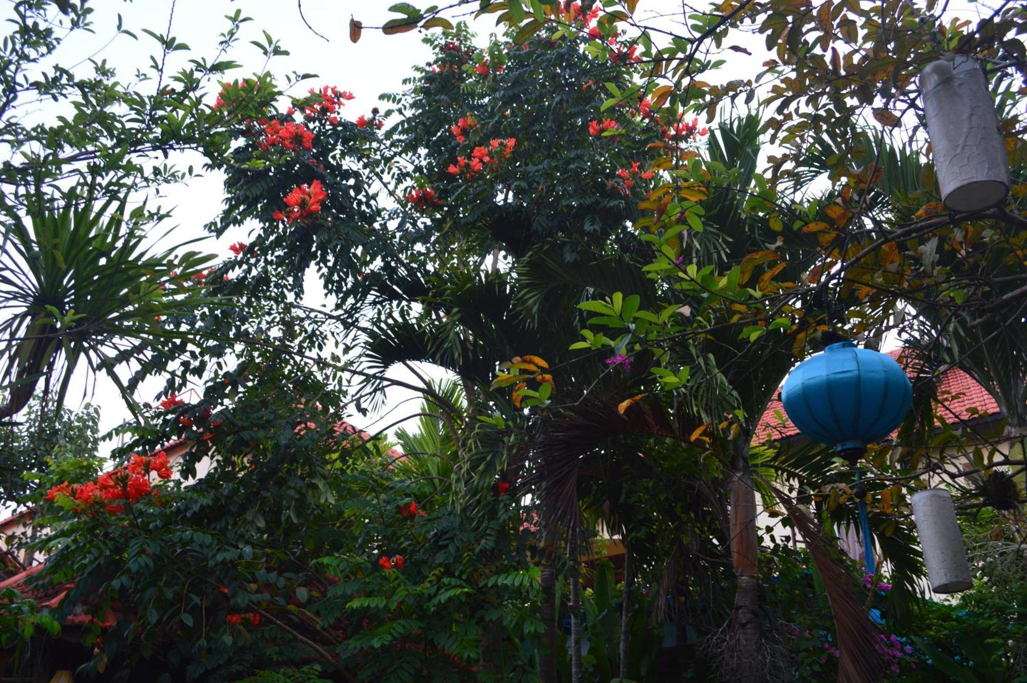 Villa Orchid Garden Riverside Hoi An Exterior photo