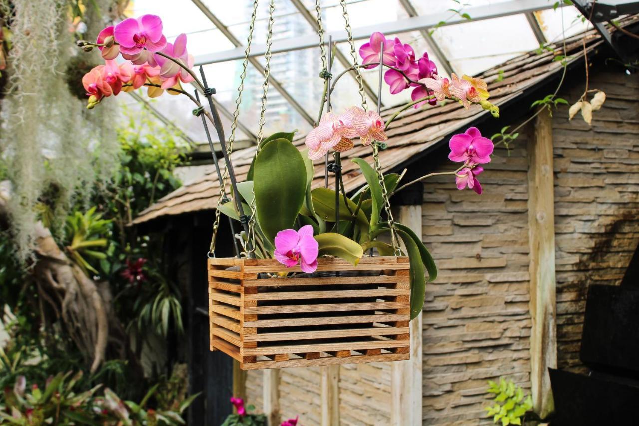 Villa Orchid Garden Riverside Hoi An Exterior photo